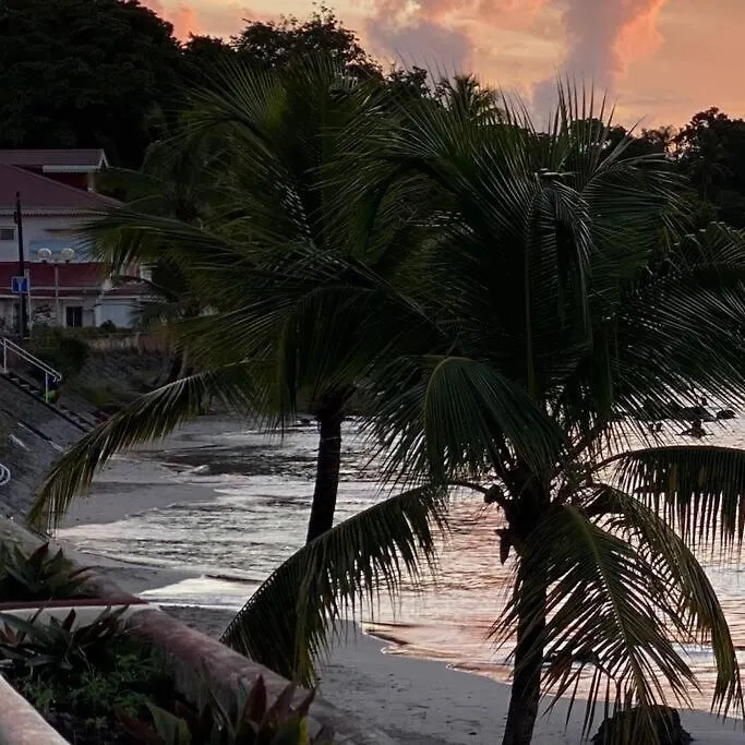 公寓 Suite Caraibes 2 - Superbe Studio Cosy Vue Mer 莱特鲁瓦西莱